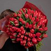 101 Красный Тюльпан