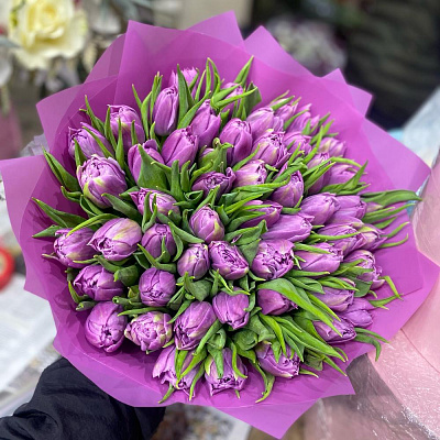 Фиолетовые Пионовидные Тюльпаны 51 шт