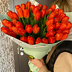 Красные тюльпаны 51 шт