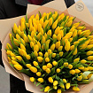Желтые тюльпаны 151 шт