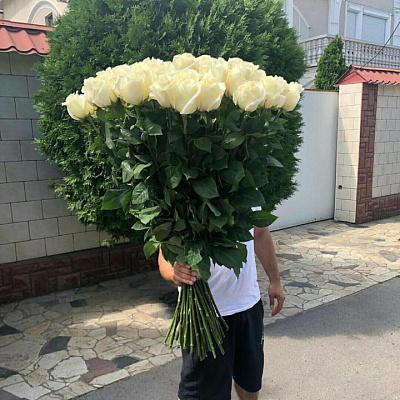 Метровые Белые Розы 110 см - 51 шт