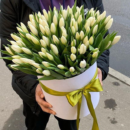 Белые тюльпаны 101 шт в коробке