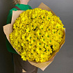 Желтые хризантемы 15 шт