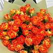 Оранжевые Кустовые Розы