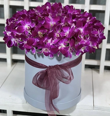 Розовая Орхидея в коробке 19 шт