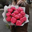Коралловые пионы 15 шт