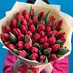 Красные тюльпаны 51 шт
