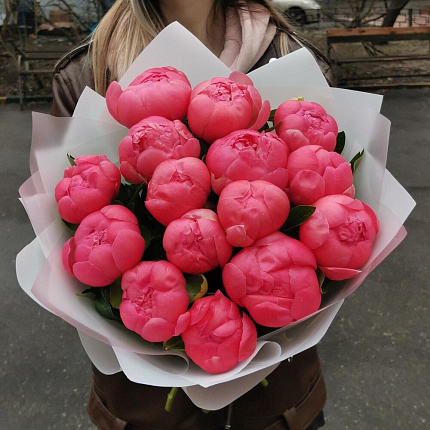 Коралловые пионы 15 шт