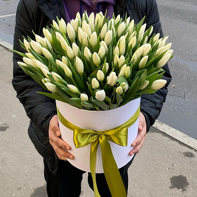 Белые тюльпаны 101 шт в коробке