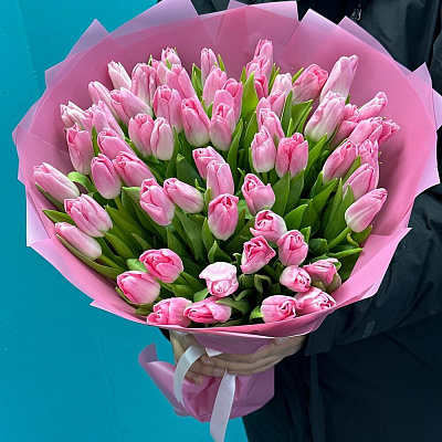 Розовые тюльпаны 51 шт